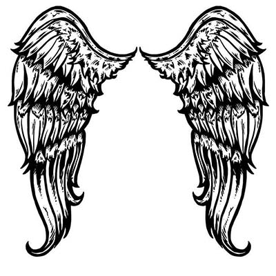 Angel Wings Design Water Transfer Temporary Tattoo(fake Tattoo) Stickers NO.11229